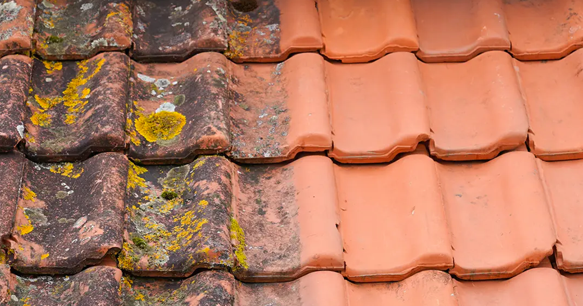 Démoussage Toiture à Prunet